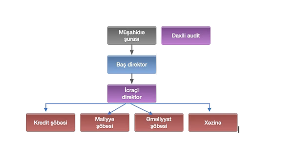 Təşkilati struktur: Müşahidə şurası, Baş direktor, İcraçı direktor; Kredit, Maliyyə, Əməliyyat şöbələri və Xəzinə; Daxili audit